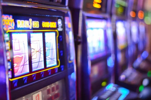 togelaja Sportsbook